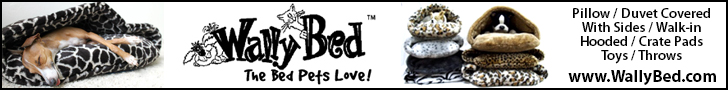 Purchase a WallyBed TODAY!