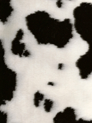 Black Cow Fabric