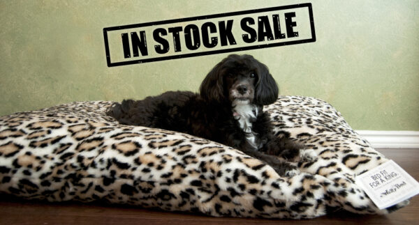 Duvet Covered *In Stock*